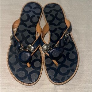 Navy and Tan Logo Sandals
